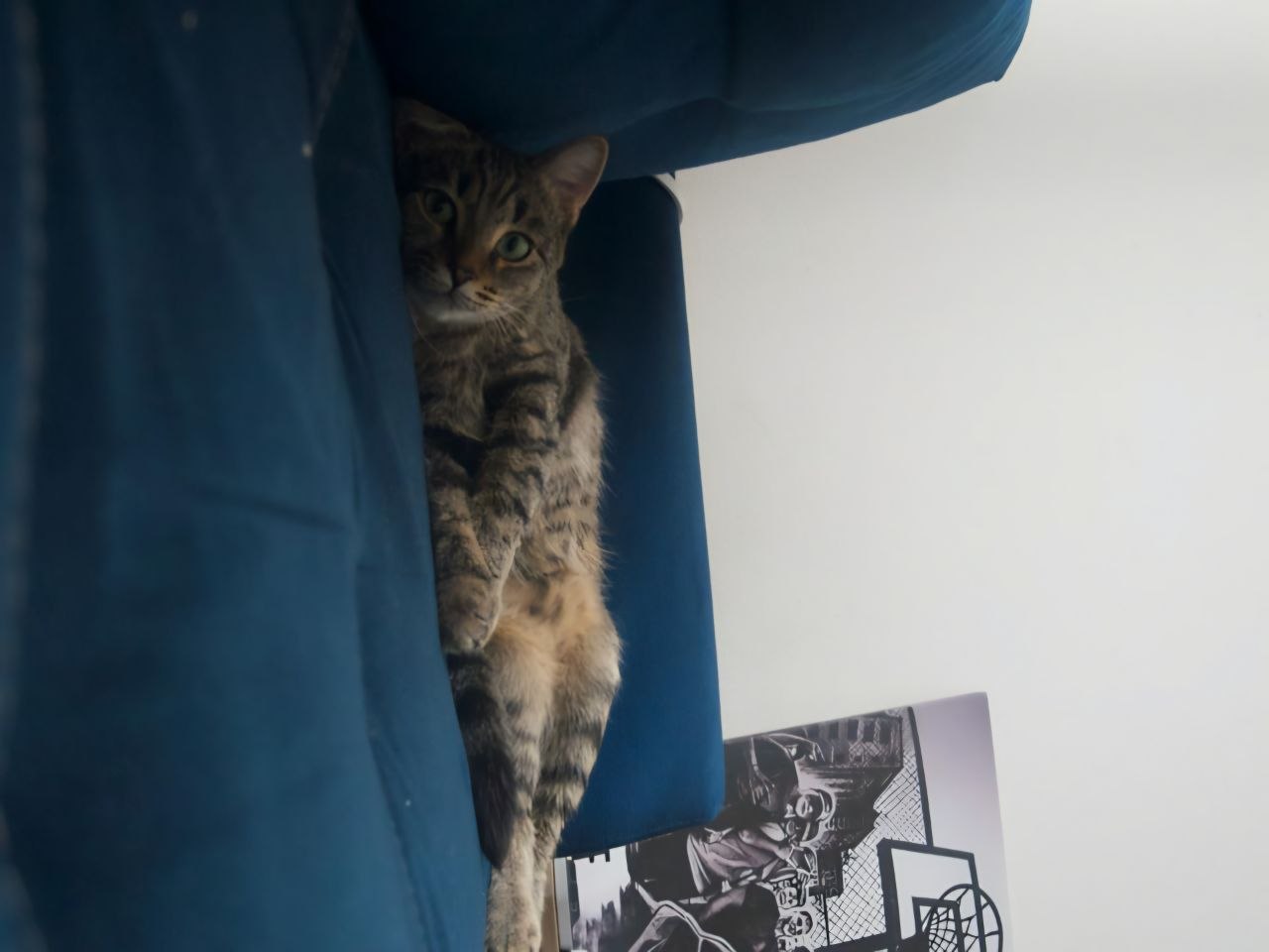 Дима